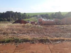 #223867 - Terreno para Venda em Arapongas - PR