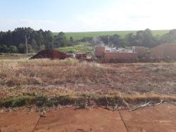 Terreno para Venda em Arapongas - 4