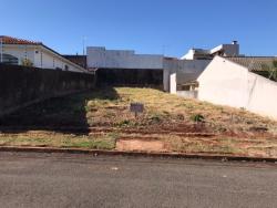 Terreno para Venda em Arapongas - 4