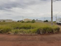 Terreno para Venda em Arapongas - 4