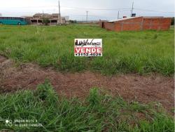 #1232 - Terreno para Venda em Sabáudia - PR