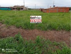 Terreno para Venda em Sabáudia - 4
