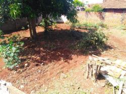 Terreno para Venda em Arapongas - 4