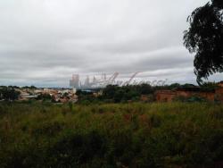 Terreno para Venda em Arapongas - 4