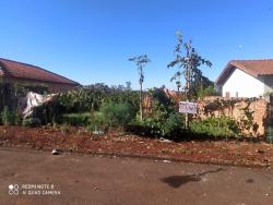 Terreno para Venda em Arapongas - 4