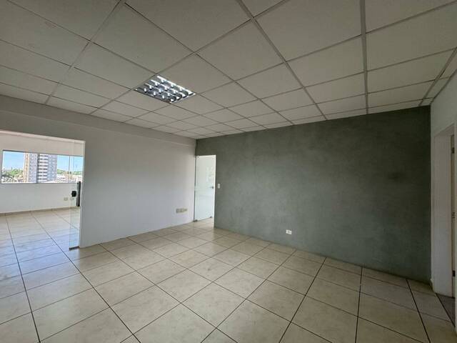 Sala para Locação em Arapongas - 4