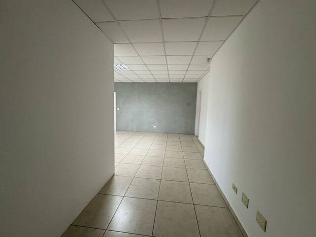 Sala para Locação em Arapongas - 3