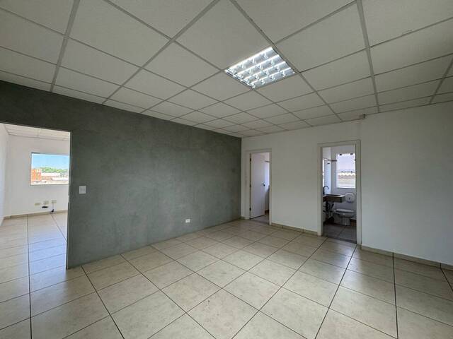 Sala para Locação em Arapongas - 5