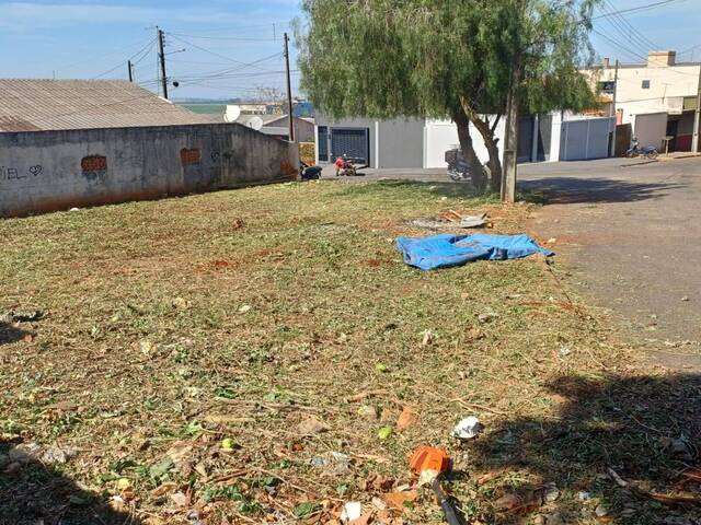 #2203 - Área para Venda em Arapongas - PR