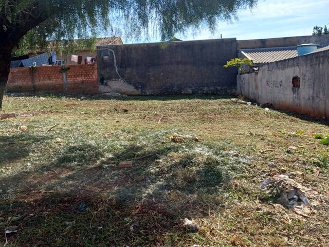 #2203 - Área para Venda em Arapongas - PR