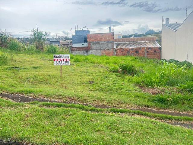 #2239 - Área para Venda em Arapongas - PR