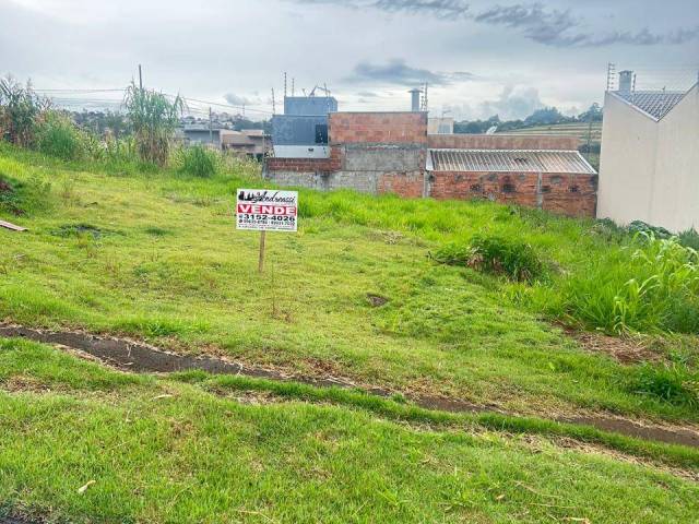 #2239 - Área para Venda em Arapongas - PR