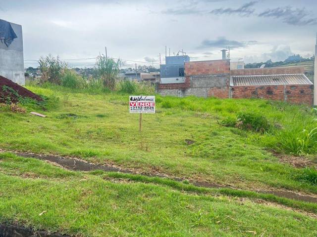 #2239 - Área para Venda em Arapongas - PR