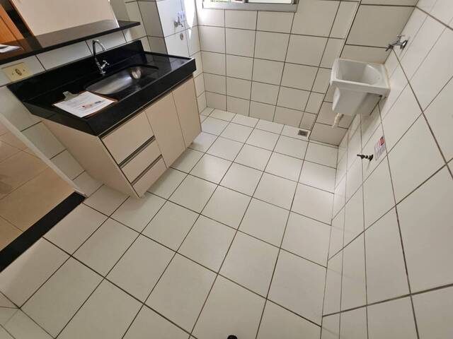 Apartamento para Locação em Arapongas - 4